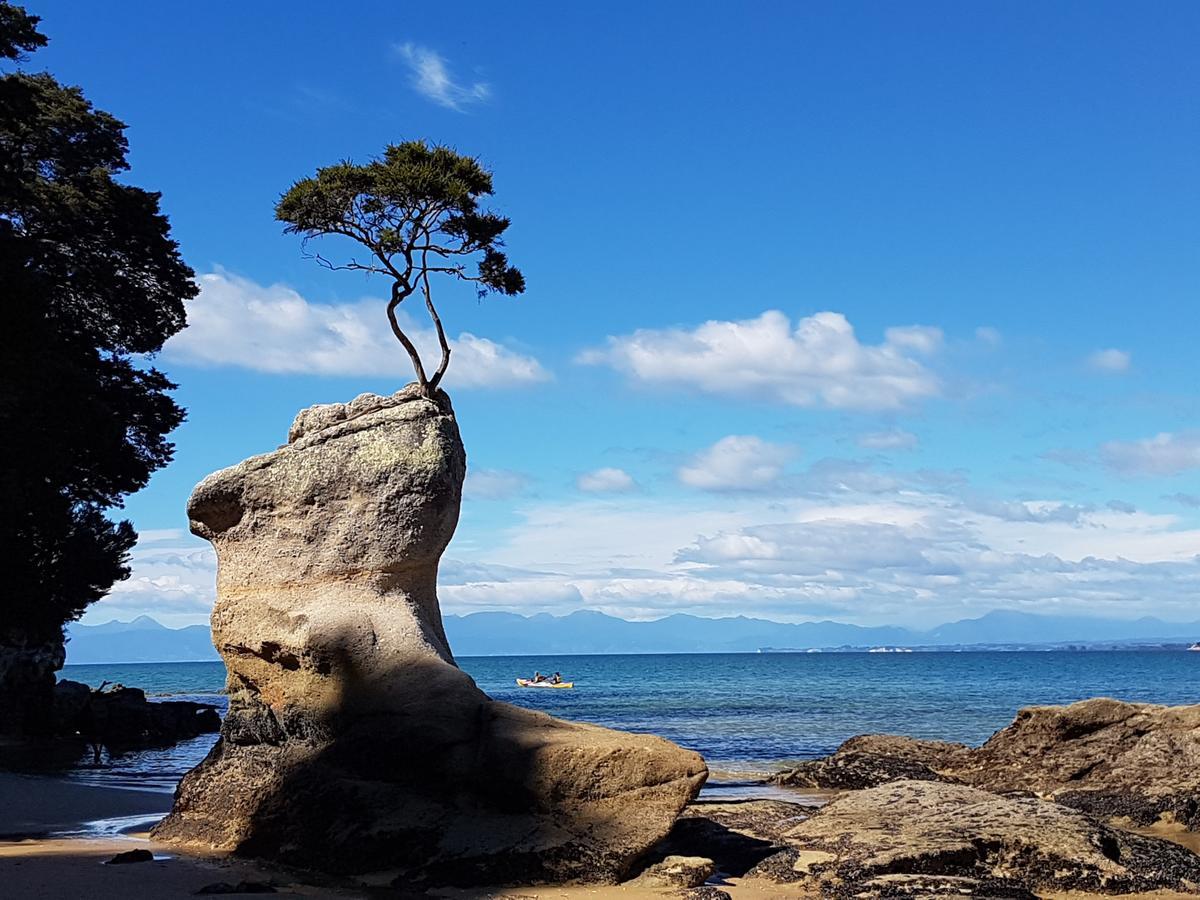 Abel Tasman Sands Bnb Riwaka Extérieur photo